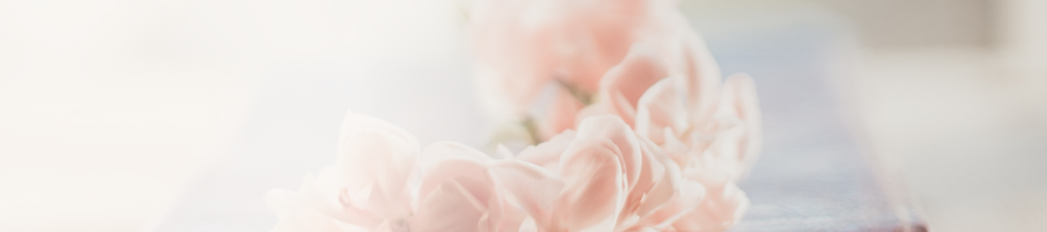 Närbild av mjuka, rosa blommor mot en suddig bakgrund.